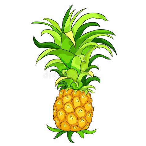 Tropical Fruit Pineapple Stock Illustrations Vecteurs Clipart