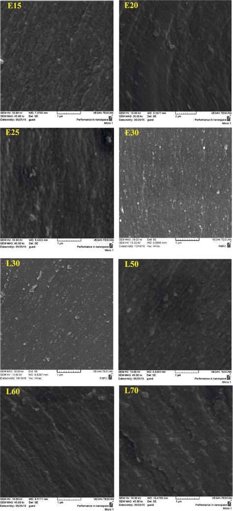 SEM Micrographs Taken From The Cryo Fractured Surfaces Of Some Of E