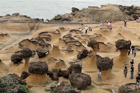 2024 Northeast Coast Tour Yehliu Geopark Shifen Jiufen