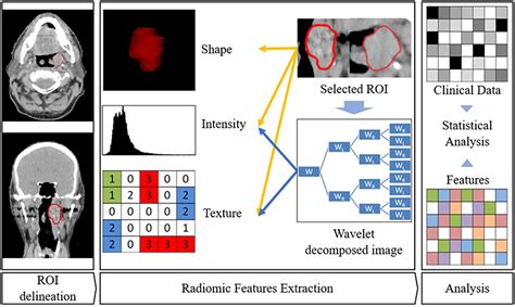 Frontiers Radiomics And Machine Learning For Radiotherapy In Head And