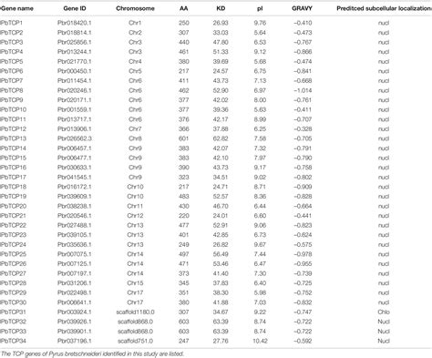 Frontiers Comparative Genomic Analysis Of TCP Genes In Six Rosaceae