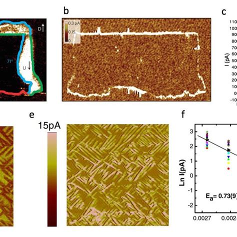 Topological Domain Structure In Multiferroics A Atomic Force