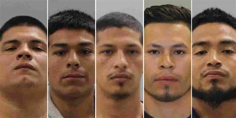 Five Suspected Ms 13 Gang Members In Us Illegally Charged With Murder