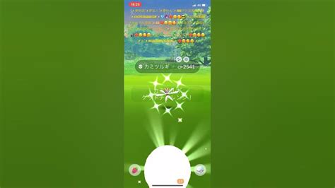 【問答無用正真正銘神引き】【激レア】【色違いカミツルギ】【ポケモンgo】 ️‍🔥😉🥰 日々笑顔幸せいっぱいでrealポケ活実戦してたらな ️‍