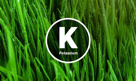 The Benefits Of Potassium For Your Lawn Simple Lawn Solutions