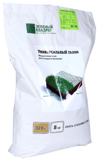 Топ-10 Лучшие семена газонной травы для дачи: рейтинг 2024 года