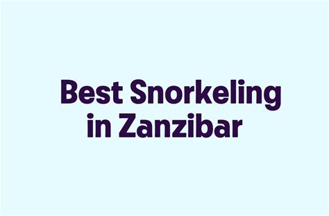 Best Snorkeling in Zanzibar