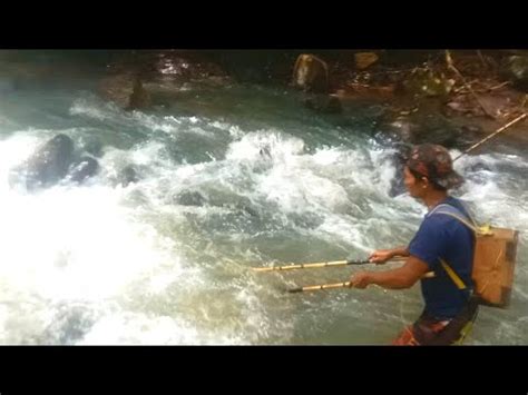 Nyetrum Ikan Di Sungai Deras Hasilnya Mantap YouTube