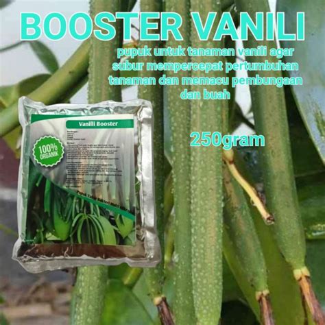 Pupuk Booster Untuk Tanaman Vanili Agar Cepat Berbuah Menambah