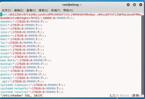 Windowslinux John Exe Csdn