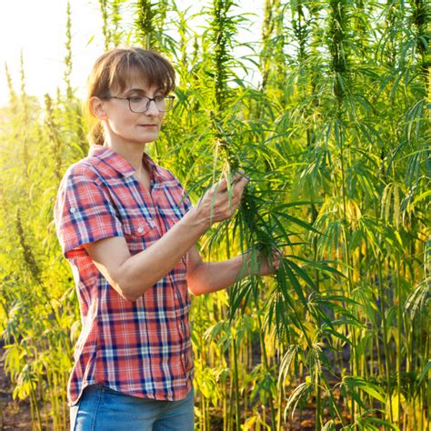 How The 2023 Farm Bill Will Impact The Hemp Industry