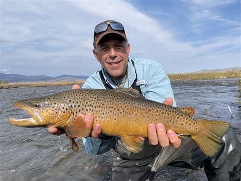 Montana Angler Fly Fishing Bozeman All You Need To Know Before You Go