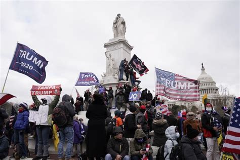 FBI Arrests Alleged Capitol Rioter Sedition Panda In Florida UPI