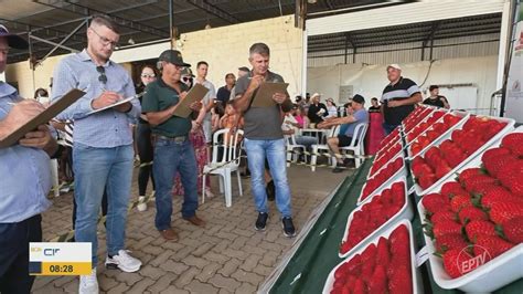 VÍDEOS Bom Dia Cidade Sul de Minas de quarta feira 6 de novembro de