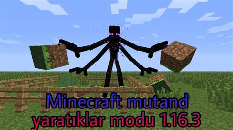 minecraft mutant modu nasıl indirilir mod tanıtımı YouTube