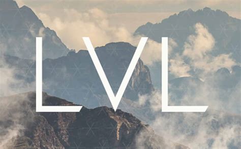 brand identity  app design lvl