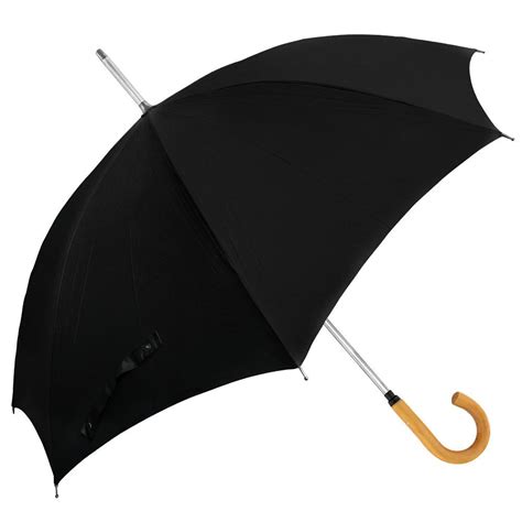 Fayet Sword-Gadget Umbrella Tourist Handle Walking Cane