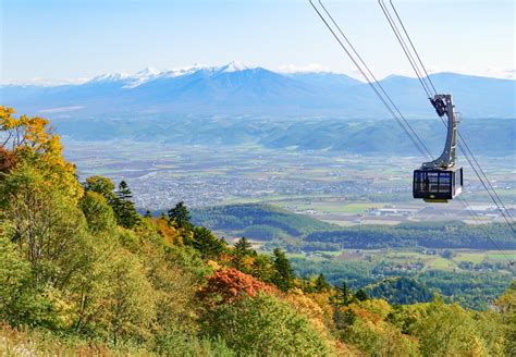 富良野ロープウェー｜名所・景観｜観光・フラワースポット｜ふらの観光協会公式サイト FURANO index