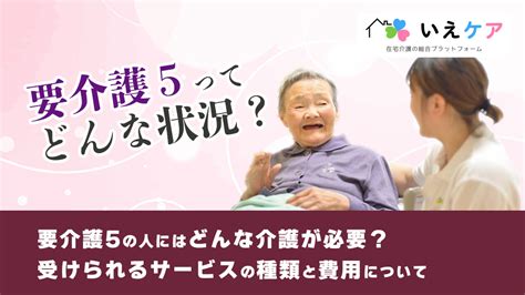 要介護5の在宅介護は無理？要介護5から回復はある？自宅と施設の介護費用、徹底比較。2024年報酬改定版 いえケア 在宅介護の悩みを