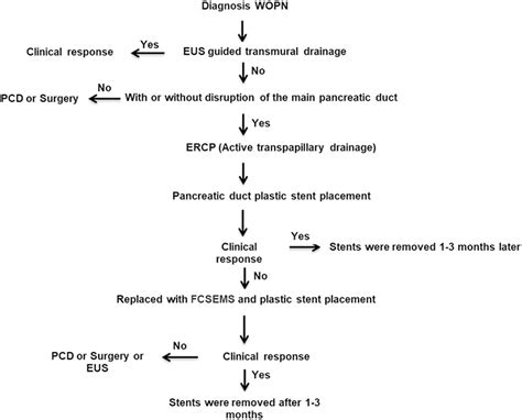 Frontiers Endoscopic Transpapillary Drainage For Walled Off