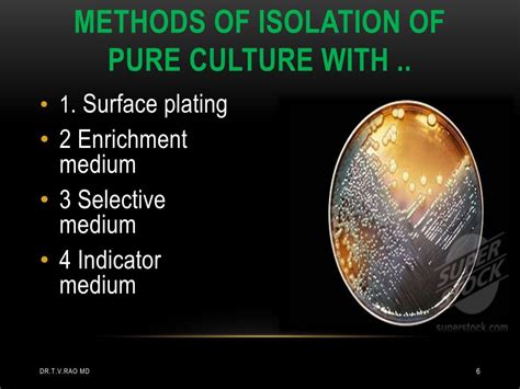 PPT - bacterial Culture methods BASICS PowerPoint Presentation, free ...