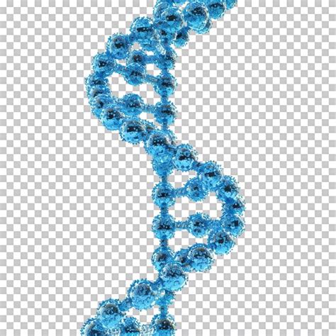 Premium Psd Blue D Dna Helix Isolated On Transparent