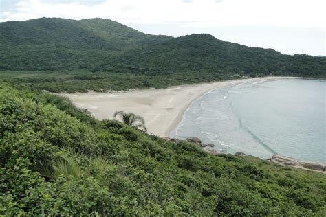 Ilha De Santa Catarina Brasil Infoescola