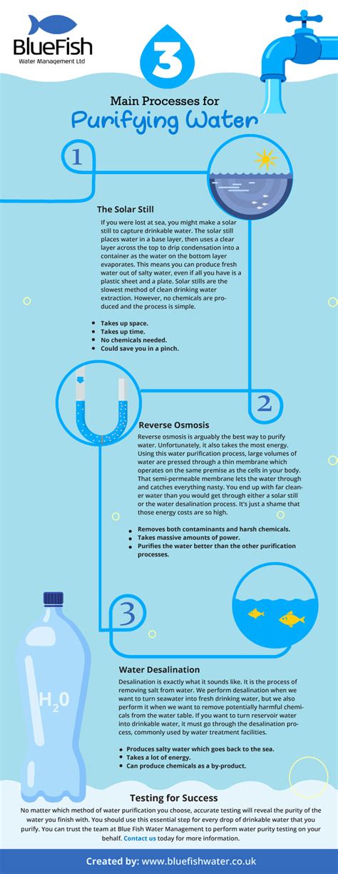 Main Processes For Purifying Water Infographic Infographic