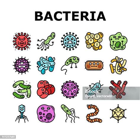 Bakterien Virus Bakterium Zellsymbole Set Vektor Stock Vektor Art Und