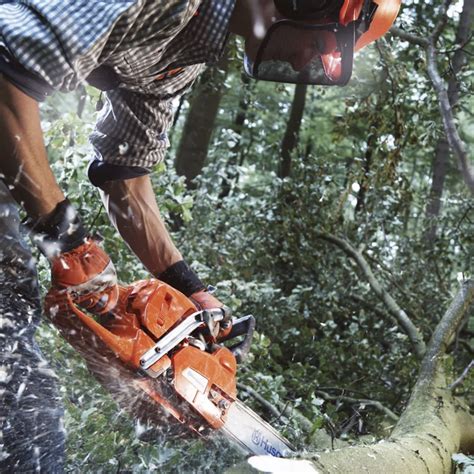 Husqvarna Chainsaw 555 Hometown Motors