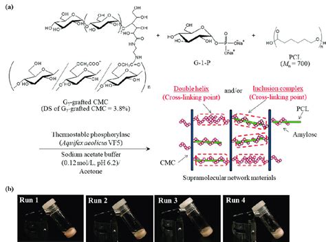 A Image For Preparation Of Supramolecular Network Materials By Means