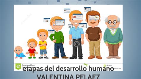 Etapas Del Desarrollo Humano