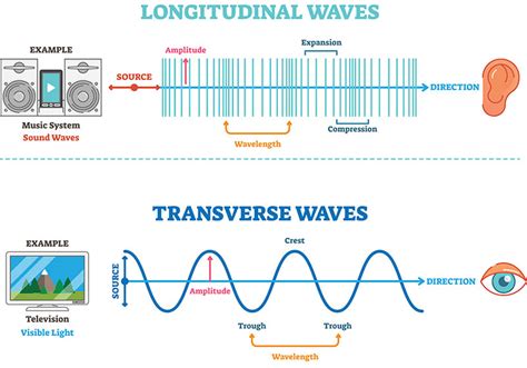 Are Light Waves Transverse Or Longitudinal The Interesting Answer