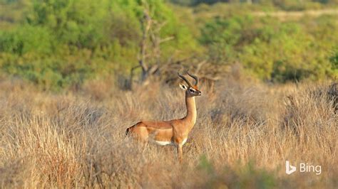 It S Peak Tourist Season In The Tsavo Region Of Kenya When The Weather