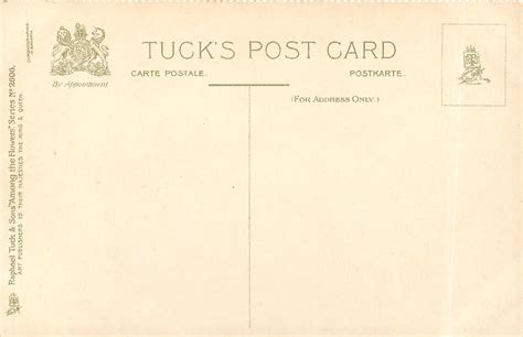 ROSE AND VIOLETS - TuckDB Postcards