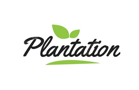 Logotipo De Tipografia Com Texto Escrito à Mão De Plantação De Folhas Verdes Vetor Png Mão