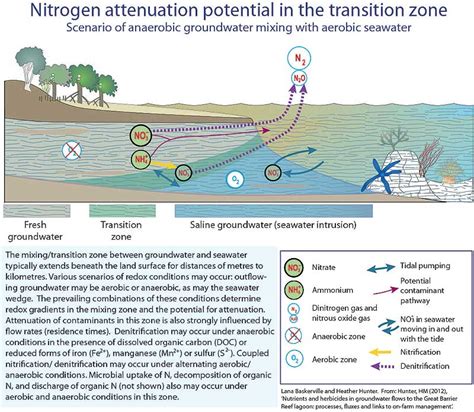 Modelling Groundwater Transport Of Nutrients And Herbicides