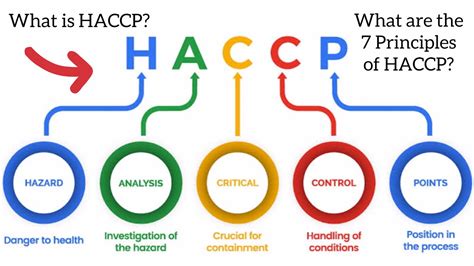 What Is HACCP What Are The 7 Principles Of HACCP Explained YouTube