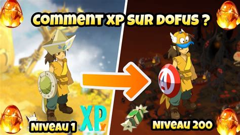 DOFUS Guide Dofus Pour Commencer Ou Reprendre Le Jeu Mes Conseils