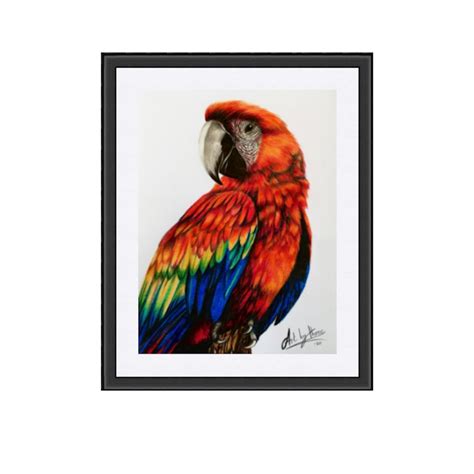 Red Parrot Posterscarlet Macaw Print Parrot Fine Art Kids Etsy