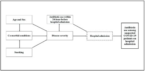 Conceptual Framework For The Causal Relationship Between Antibiotic Use