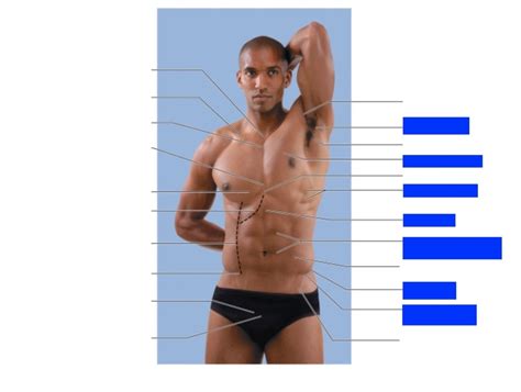 lab ch 1 surface anatomy 10 Diagram | Quizlet 