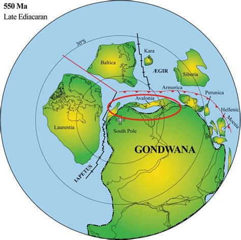 3 Avalonia On The Northern Margin Of Gondwana Center Of Image In The