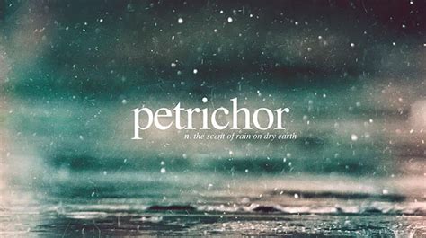 ¨Petrichor¨ is the word used to describe the smell of rain