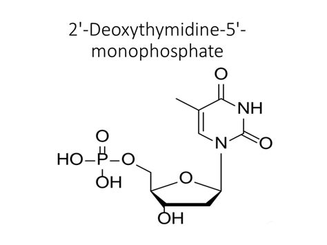 Deoxyinosine Monophosphate Disodium Salt Akonscientific