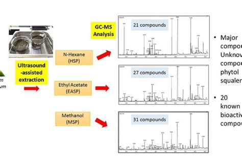 Gc Ms Analysis Of Phytochemical Compounds In Syzygium Polyanthum Leaves