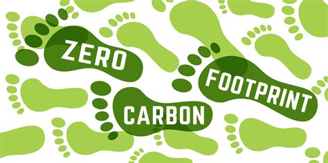 Corporate Carbon Footprint Reduction Strategies That Work