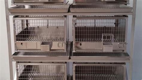 ALLENTOWN Rabbit Cage Racks For Sale Bimedis