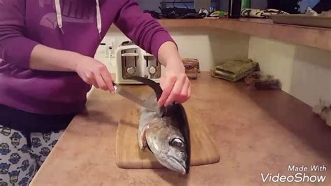 Albacore Tuna Fillet Youtube