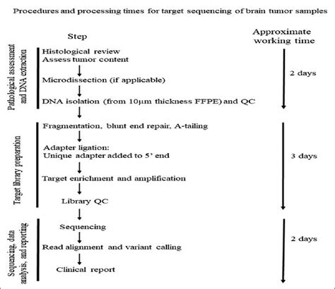 How Does One Do Next Generation Sequencing For Brain Tumors Glioma